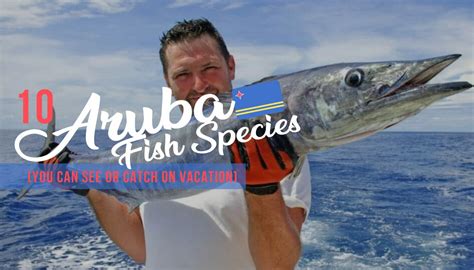 10 Aruba Fish Species You Should Know .